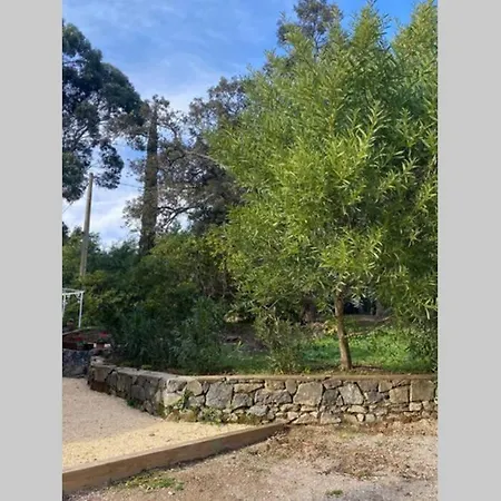 A Dans Un Domaine Prive Au Rez-de-jardin Apartment Cavalaire-sur-Mer